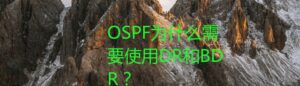 OSPF为什么需要使用DR和BDR？