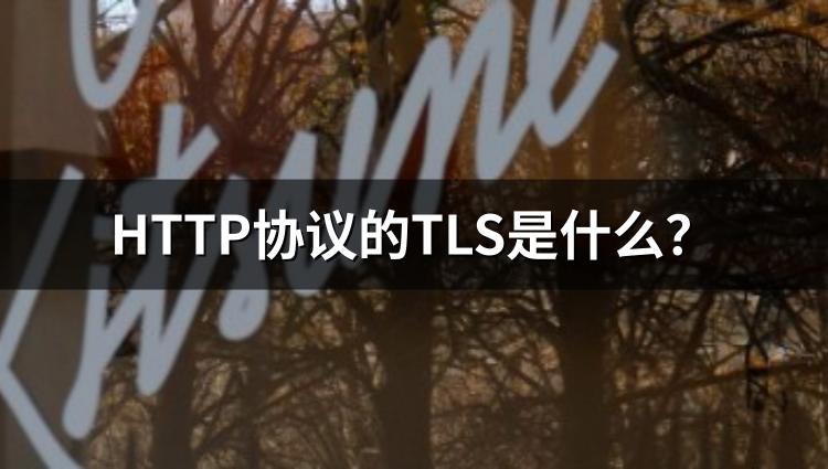 HTTP协议的TLS是什么？